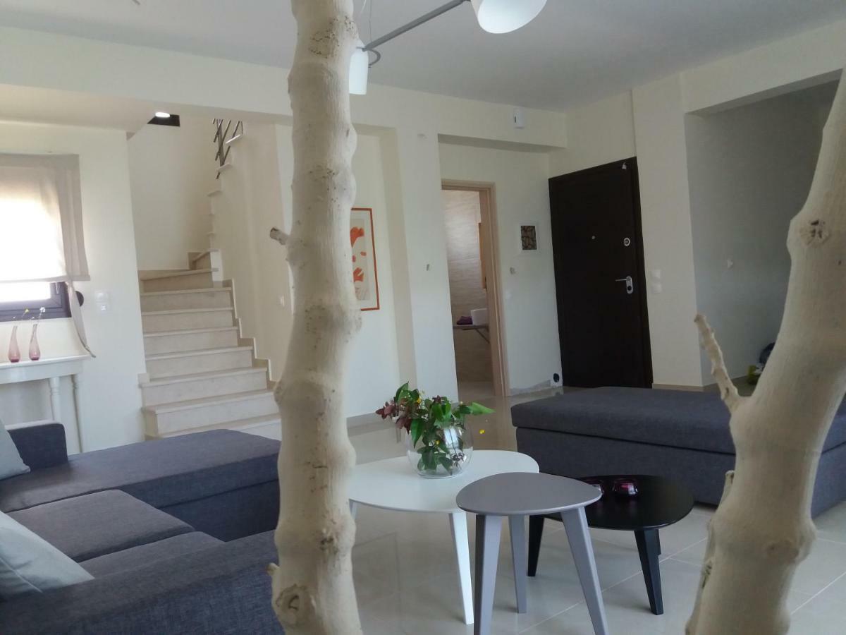 Alkyoni House In Afytos Villa Dış mekan fotoğraf